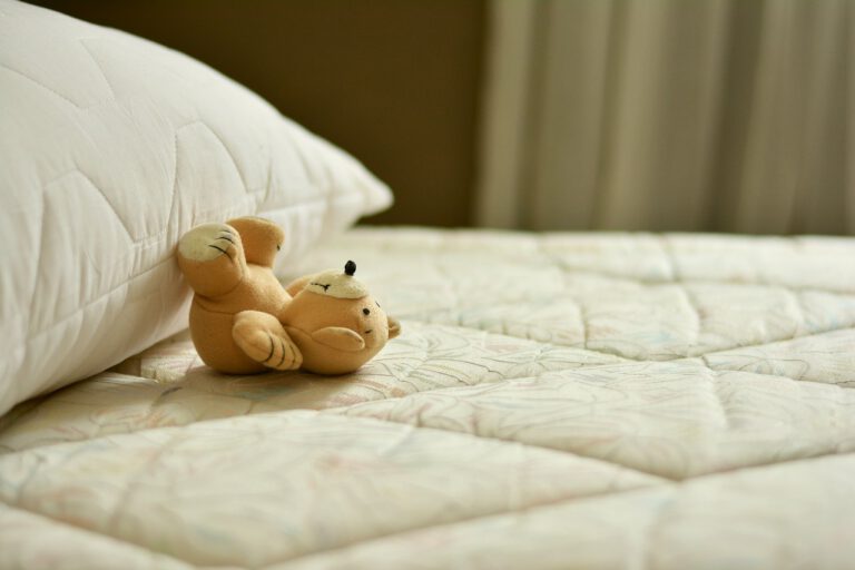 Bed Bugs